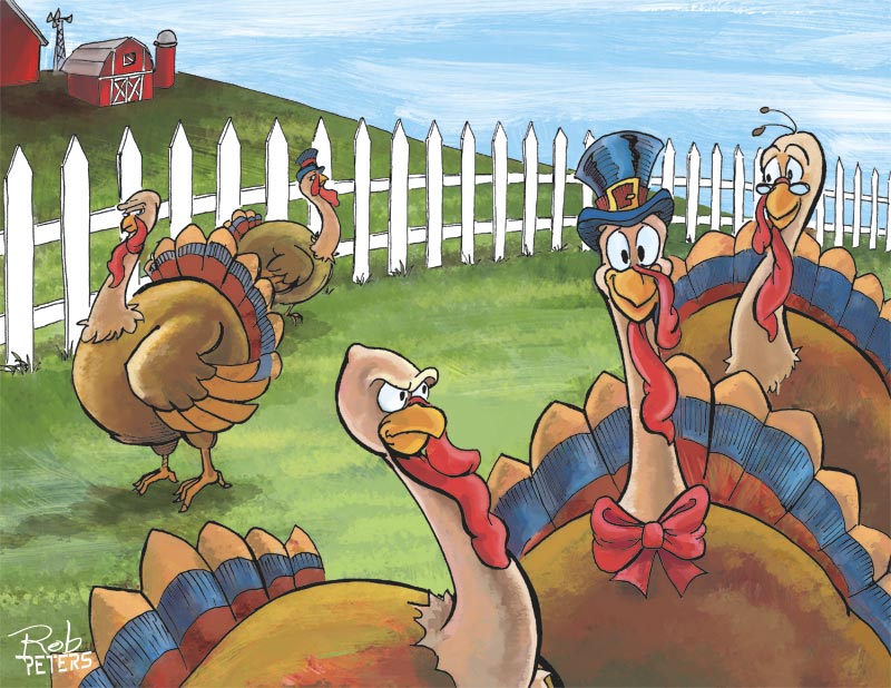 Turkeys Turkeys