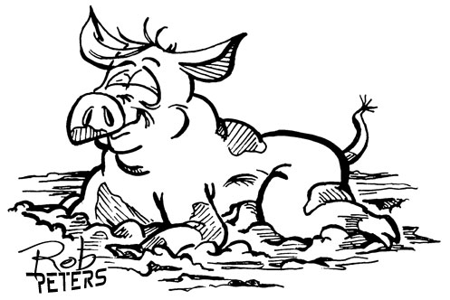 muddypig