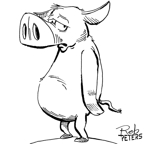 Pig11