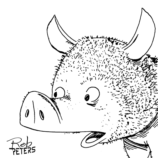 Pig7