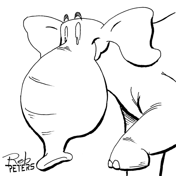 Elephant07