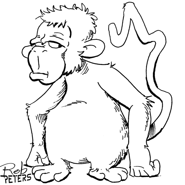 Monkey08