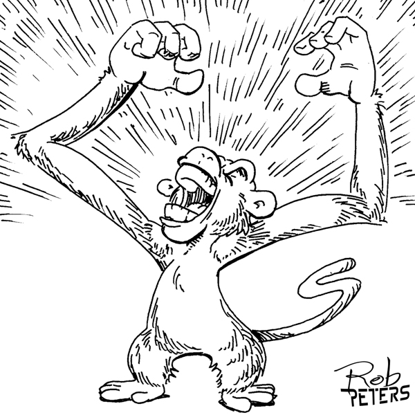Monkey11
