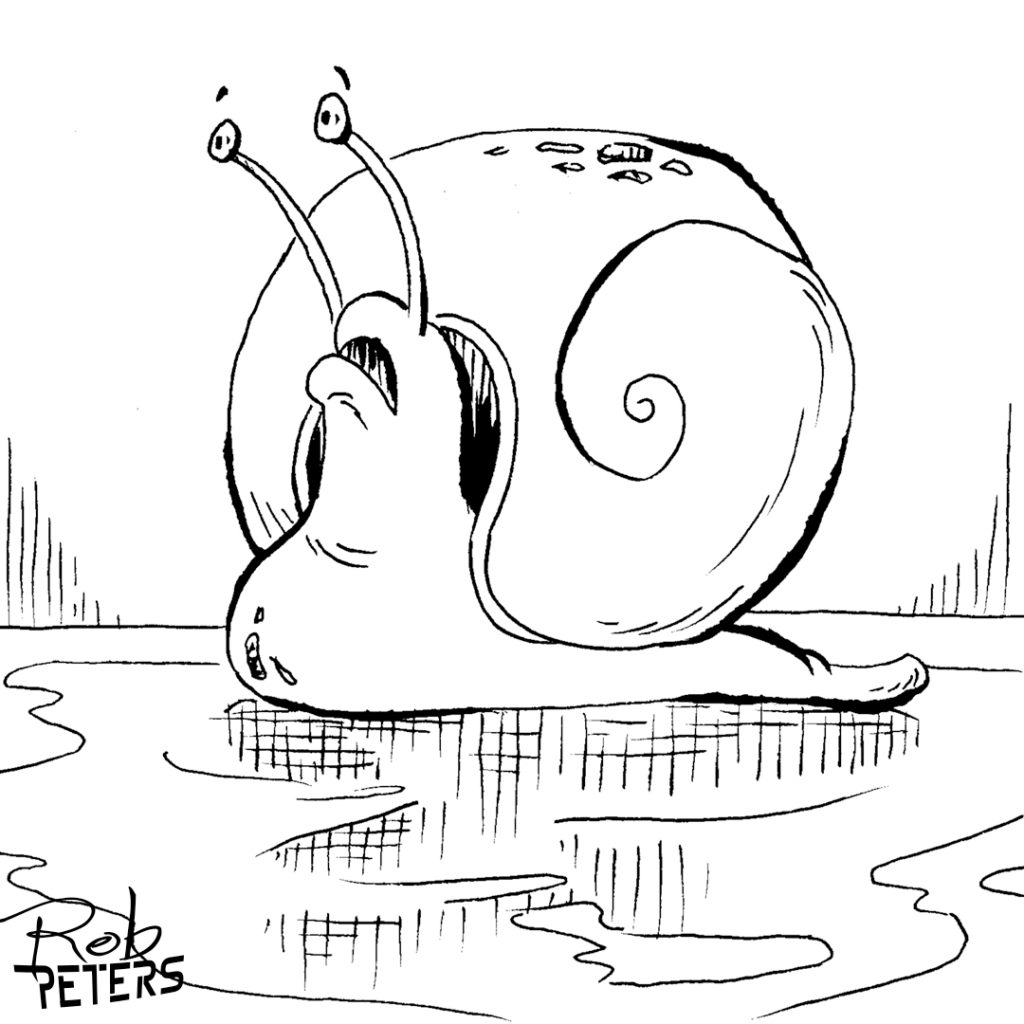 Snail11