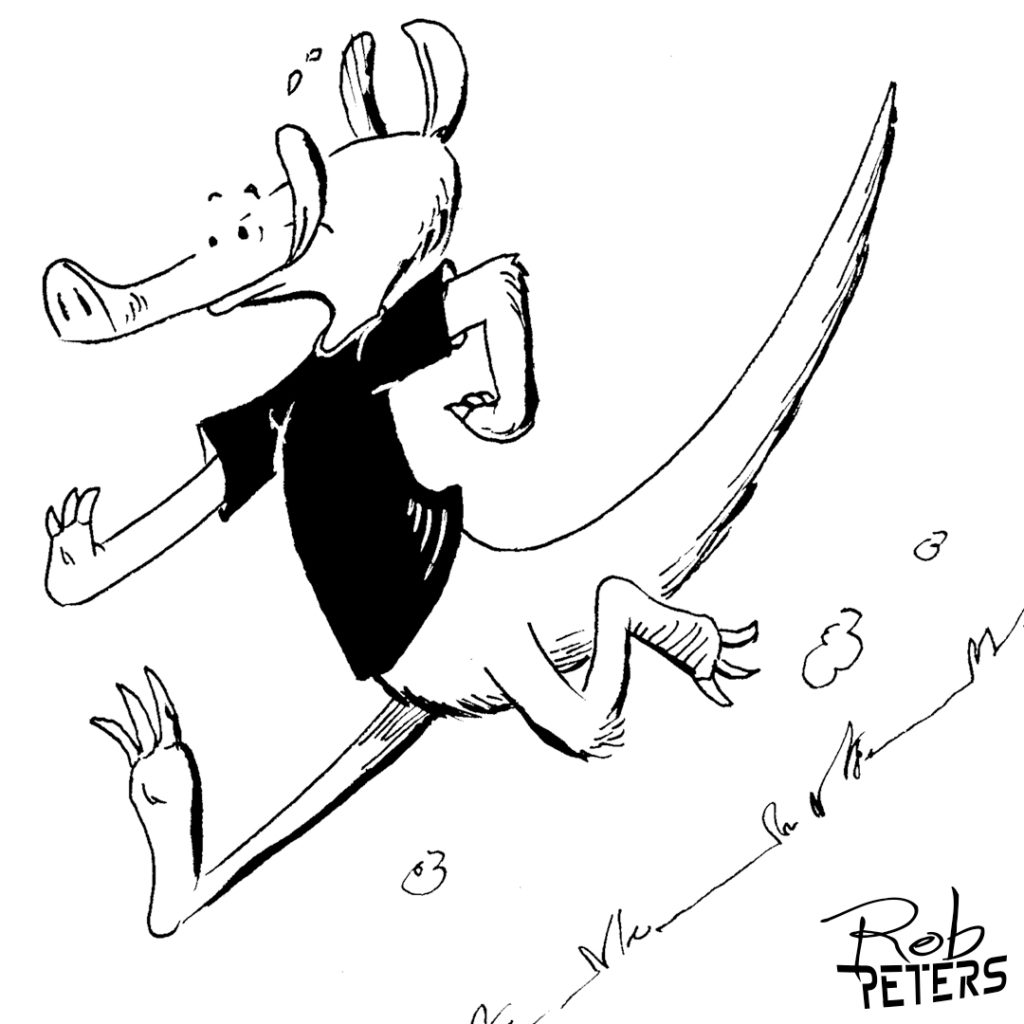 Aardvark03
