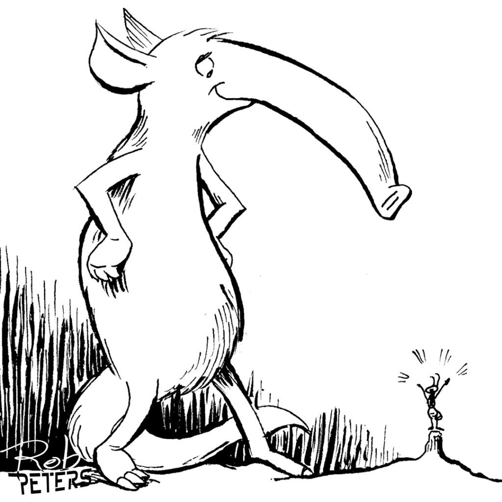 Aardvark04