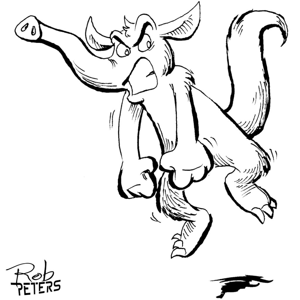 Aardvark05