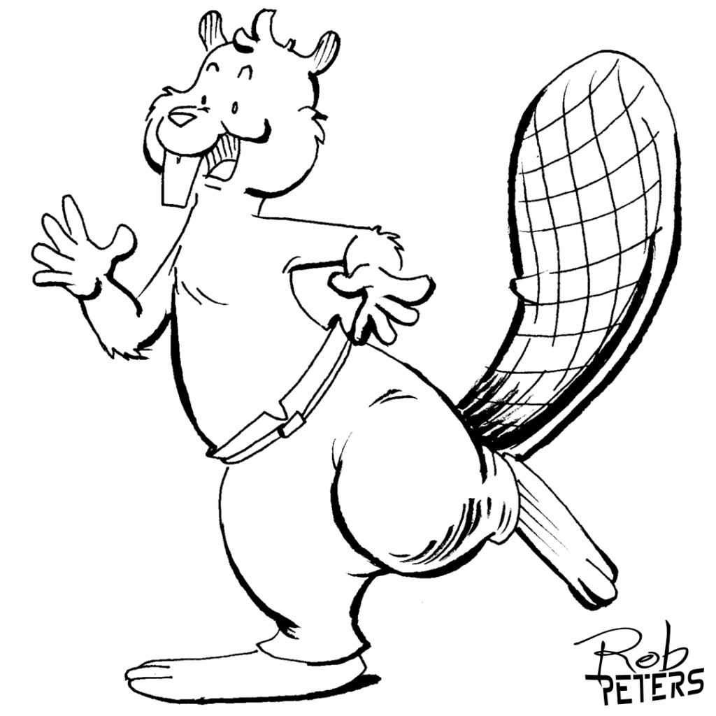 Beaver02