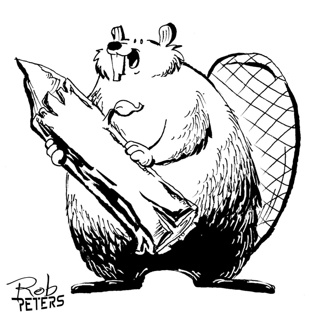 Beaver03