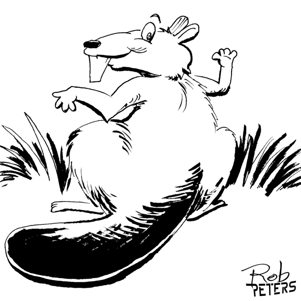 Beaver04