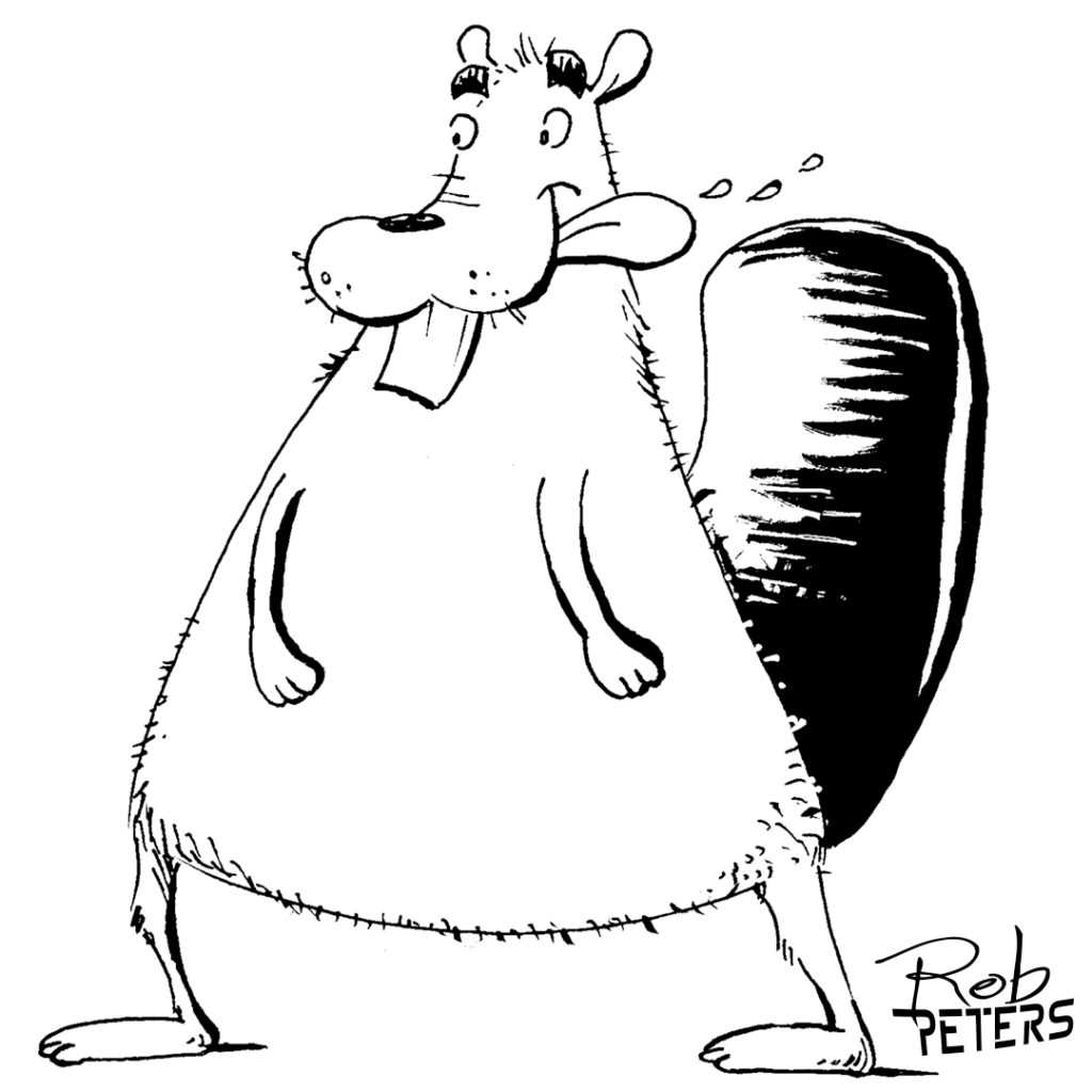 Beaver06