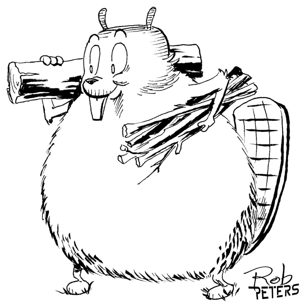 Beaver07