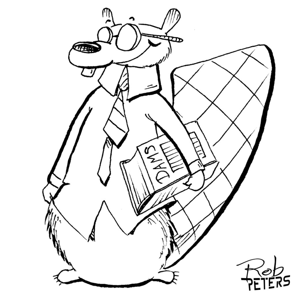 Beaver08