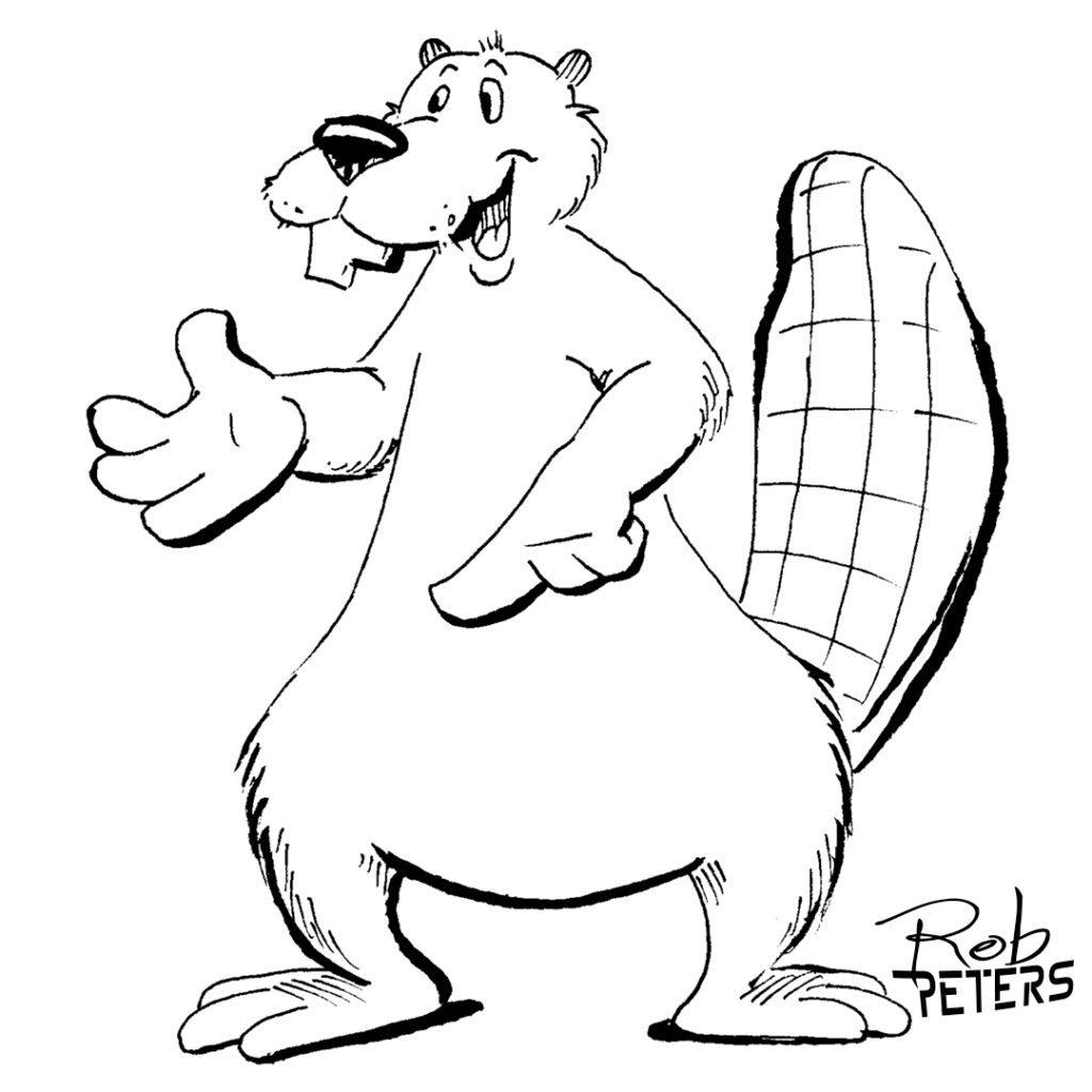 Beaver11