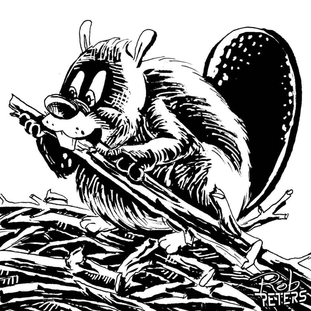 Beaver13