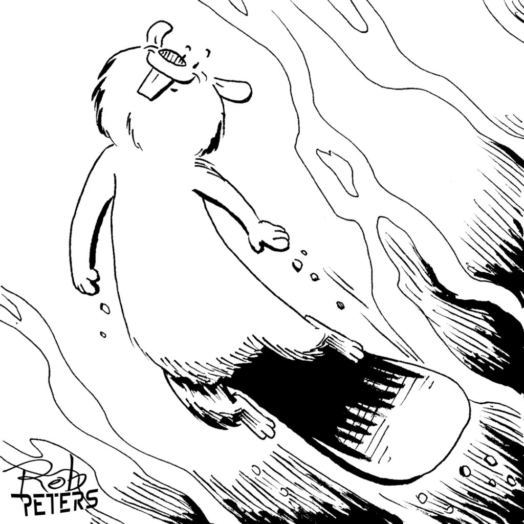 Beaver14