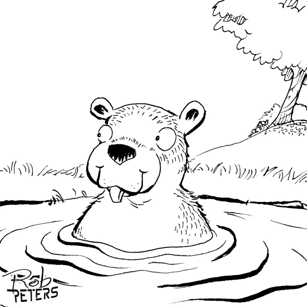 Beaver19