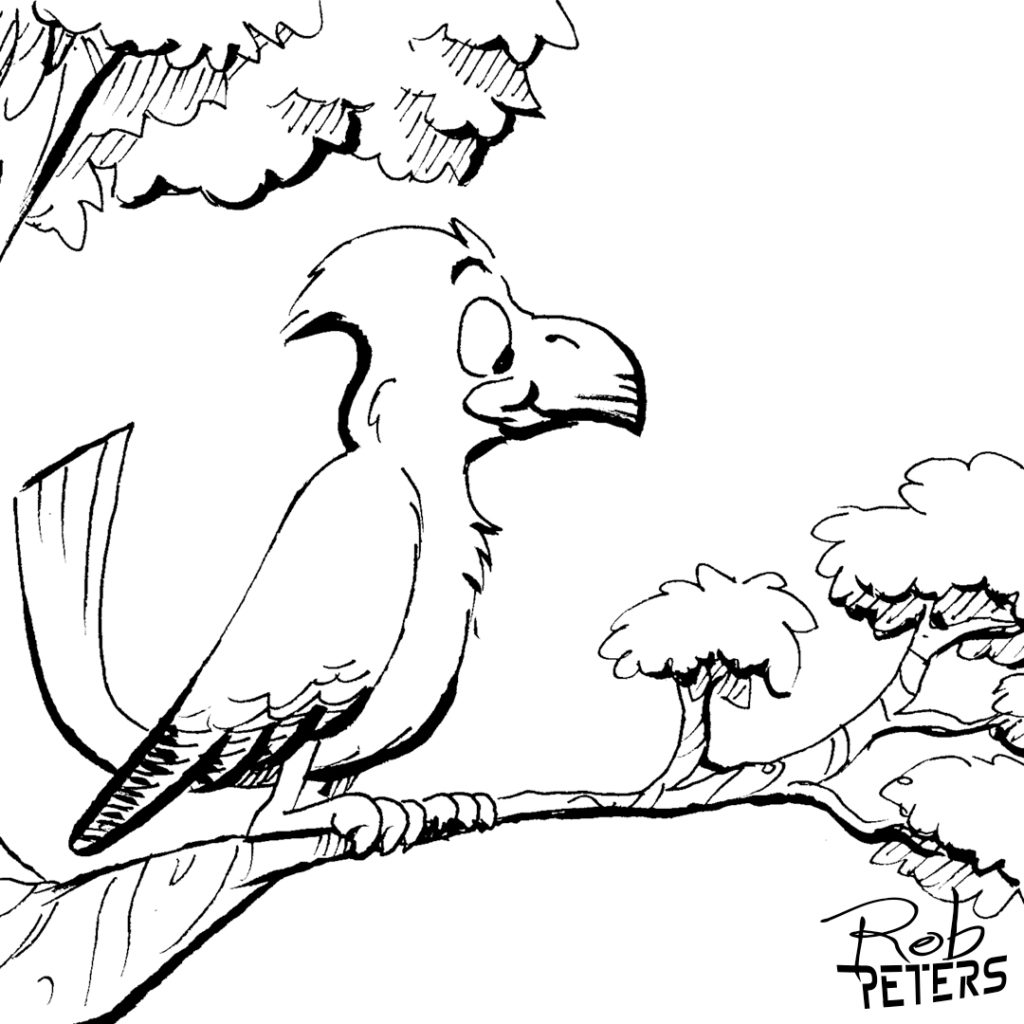 Bird01