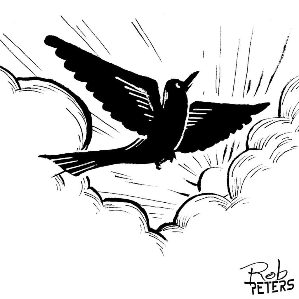 Bird02