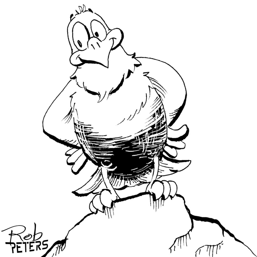 Bird05